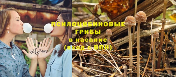трава Карталы