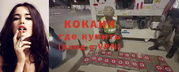 трава Карталы