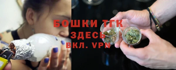 дживик Карпинск