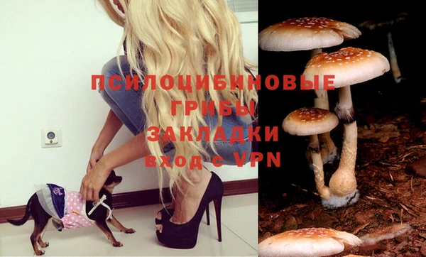 дживик Карпинск