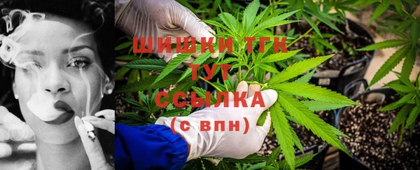дживик Карпинск