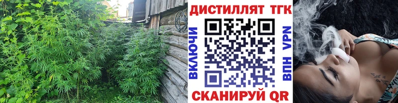 Купить закладки  Ивантеевка  ТГК THC oil 