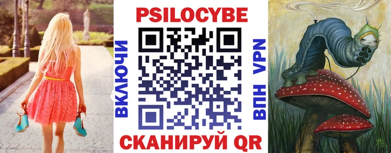 Купить  Ивантеевка  Галлюциногенные грибы Cubensis 
